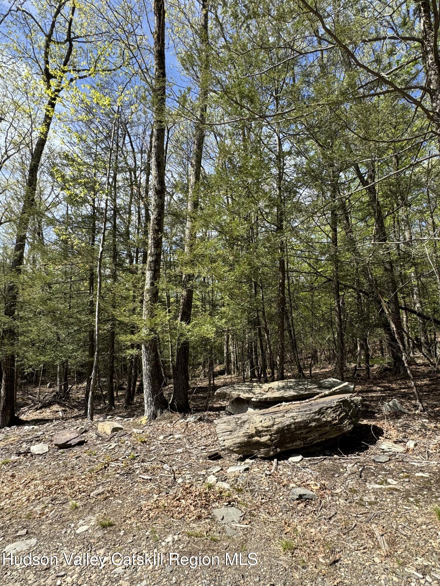291 Acorn Hill Road Olive, NY 12461 - Photo 5 of 11 acorn hill 1