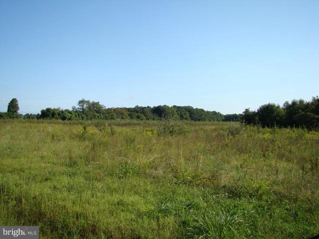 Paddock Lane Easton, MD 21601 - Photo 1 of 6 View