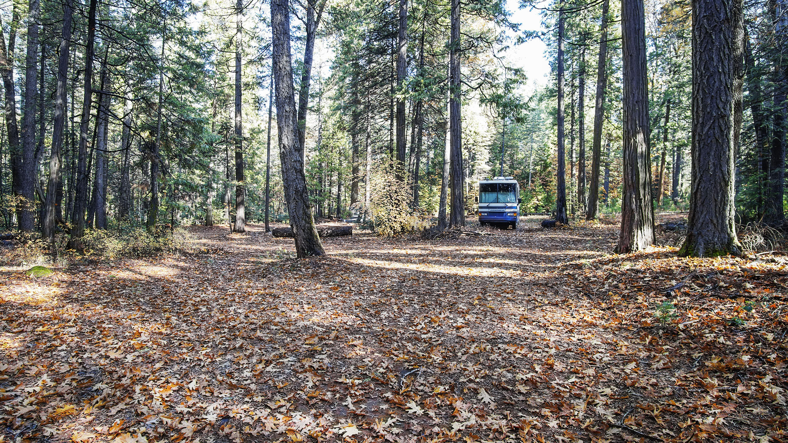 Goose Chase Autumnal Retreat