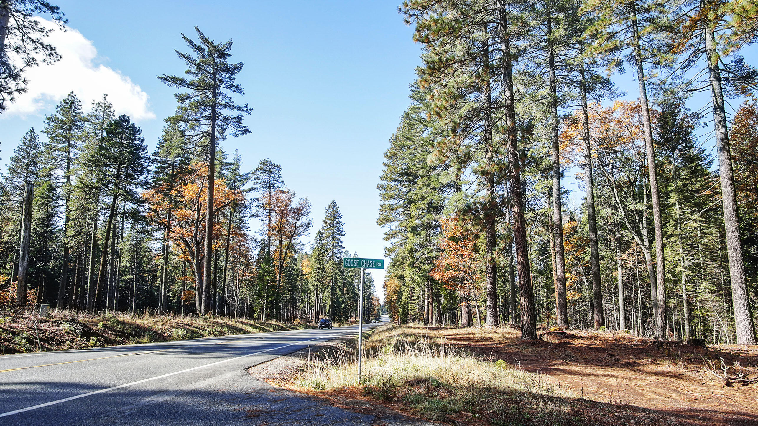 Goose Chase Road Meets Highway 44