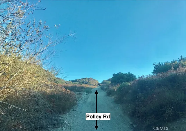 a view of a street with a tree in the background