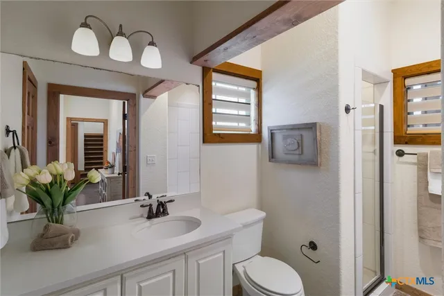 a bathroom with a toilet a sink and mirror