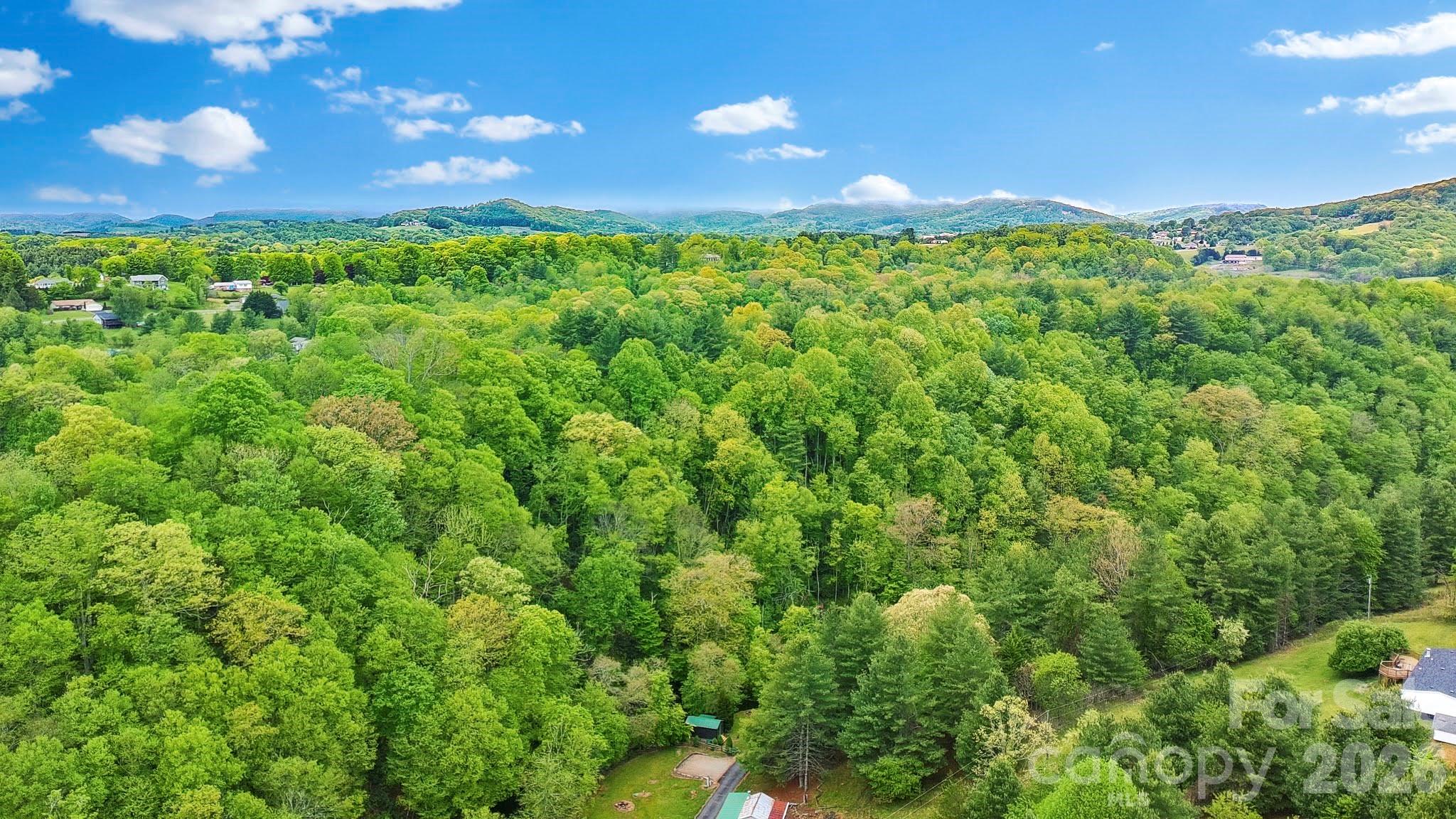 489 Buttons Lane, Unit 11 Sparta, NC 28675 - Photo 28 of 30