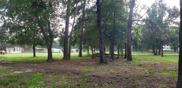 $1,000,000 | 5620 Sapp Road, Conroe, TX 77304