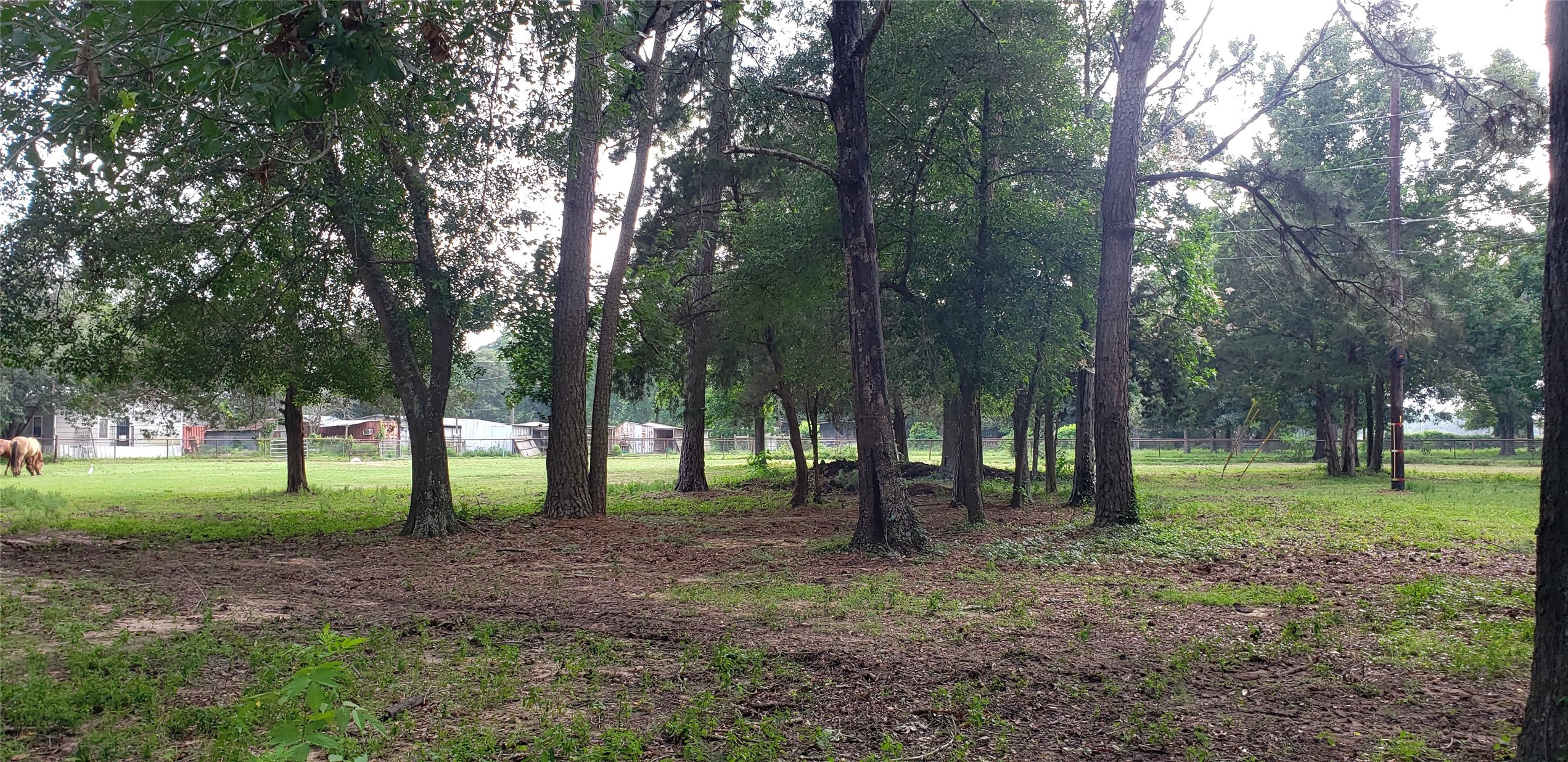 5620 Sapp Road Conroe, TX 77304 - Photo 4 of 8