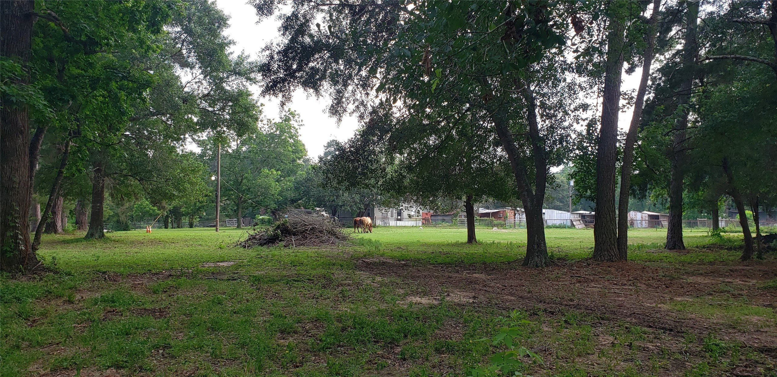 5620 Sapp Road Conroe, TX 77304 - Photo 5 of 8