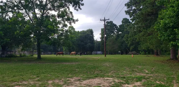 $1,000,000 | 5620 Sapp Road, Conroe, TX 77304