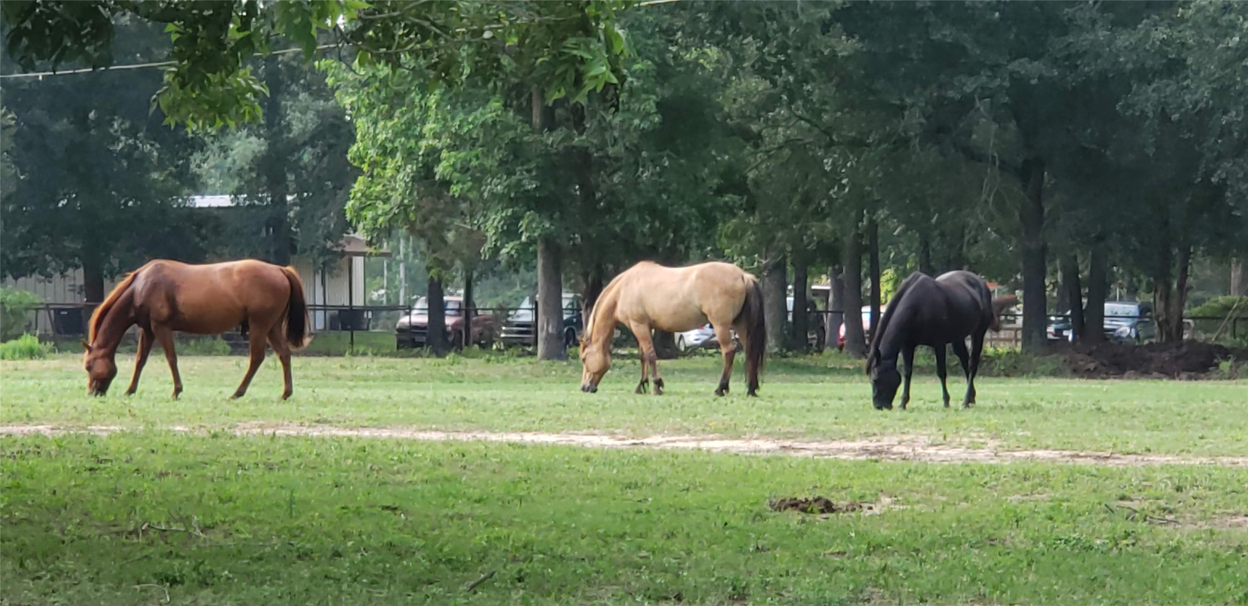 5620 Sapp Road Conroe, TX 77304 - Photo 7 of 8