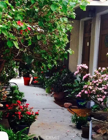 a view of a flower in a yard