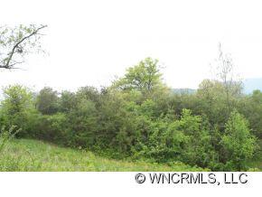 0 Richards Ridge, Unit 2 Canton, NC 28716 - Photo 2 of 10