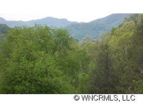 0 Richards Ridge, Unit 2 Canton, NC 28716 - Photo 3 of 10
