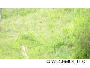 0 Richards Ridge, Unit 2 Canton, NC 28716 - Photo 4 of 10