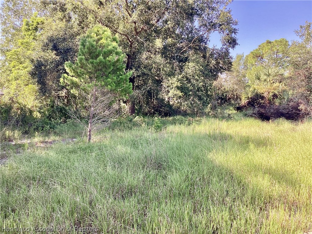 2421 West Perry Road Avon Park, FL 33825 - Photo 1 of 7 Gallery Image 1