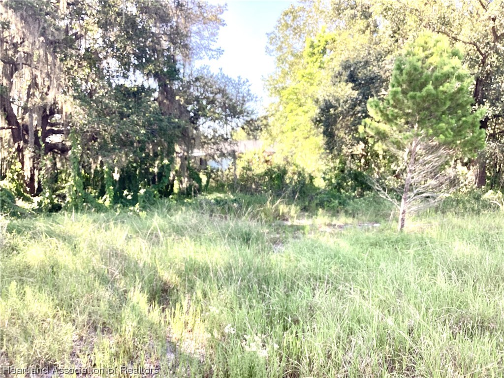 2421 West Perry Road Avon Park, FL 33825 - Photo 2 of 7 Gallery Image 2