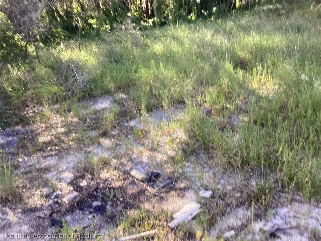 2421 West Perry Road Avon Park, FL 33825 - Photo 3 of 7 Gallery Image 3
