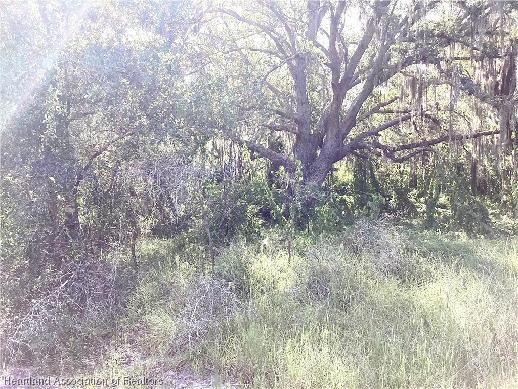 2421 West Perry Road Avon Park, FL 33825 - Photo 4 of 7 Gallery Image 4