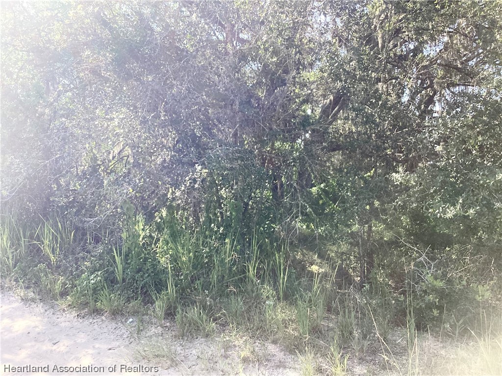 2421 West Perry Road Avon Park, FL 33825 - Photo 5 of 7 Gallery Image 5