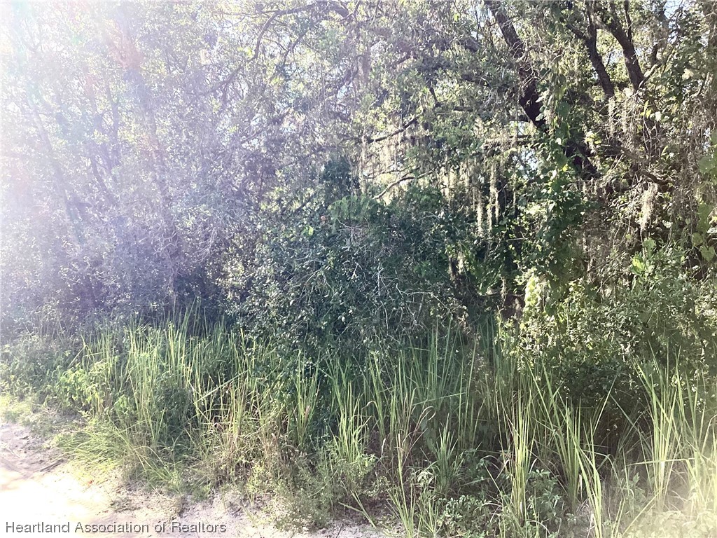 2421 West Perry Road Avon Park, FL 33825 - Photo 6 of 7 Gallery Image 6