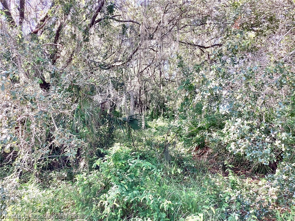 2421 West Perry Road Avon Park, FL 33825 - Photo 7 of 7 Gallery Image 7