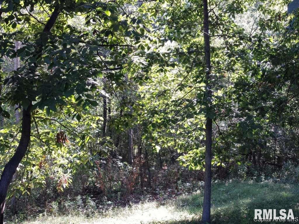 1335 Ward Road Knoxville, IL 61448 - Photo 11 of 12 Gallery Image 11
