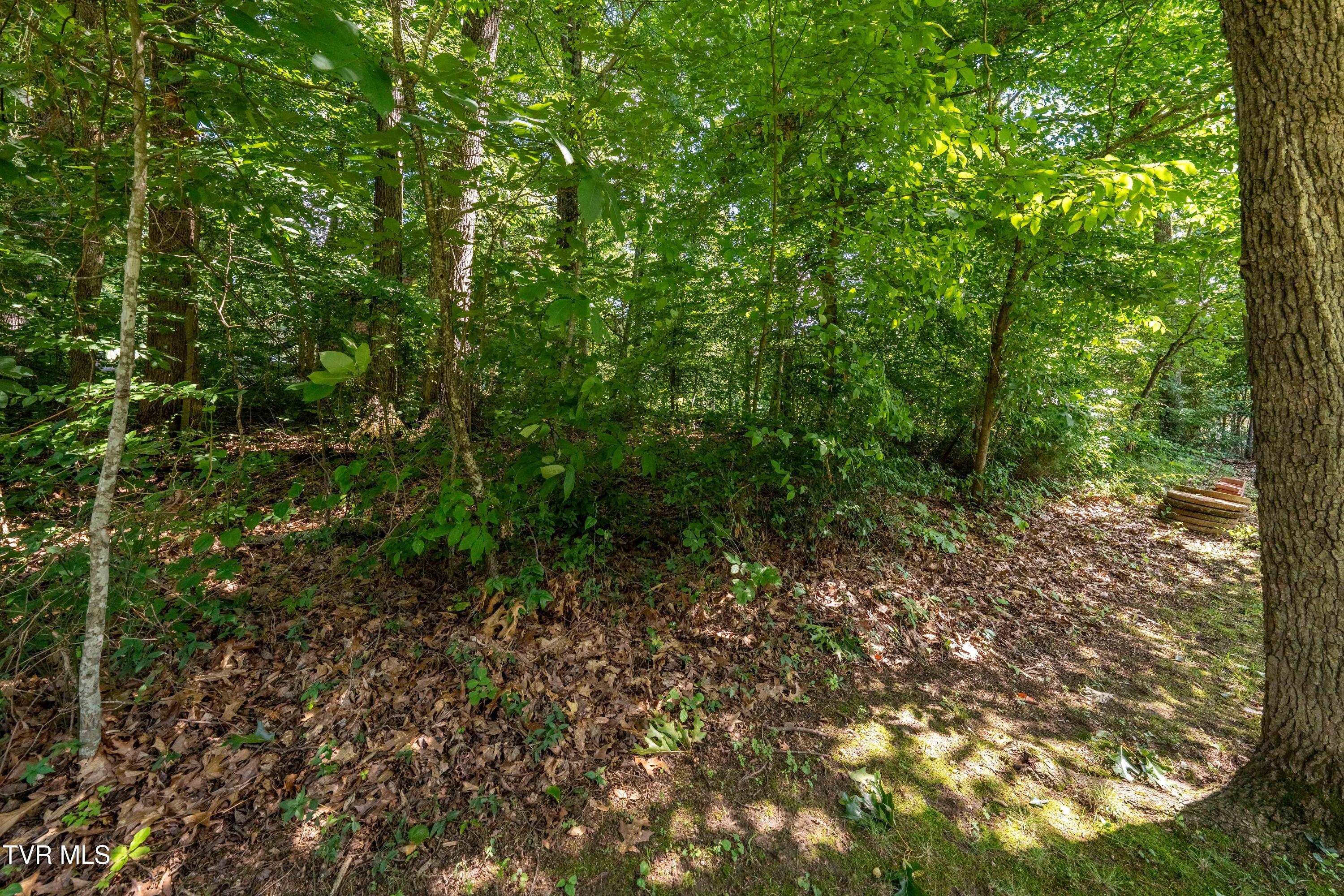 1903 Triangle Road Johnson City, TN 37604 - Photo 73 of 80 1903 Triangle Rd (38 of 80)