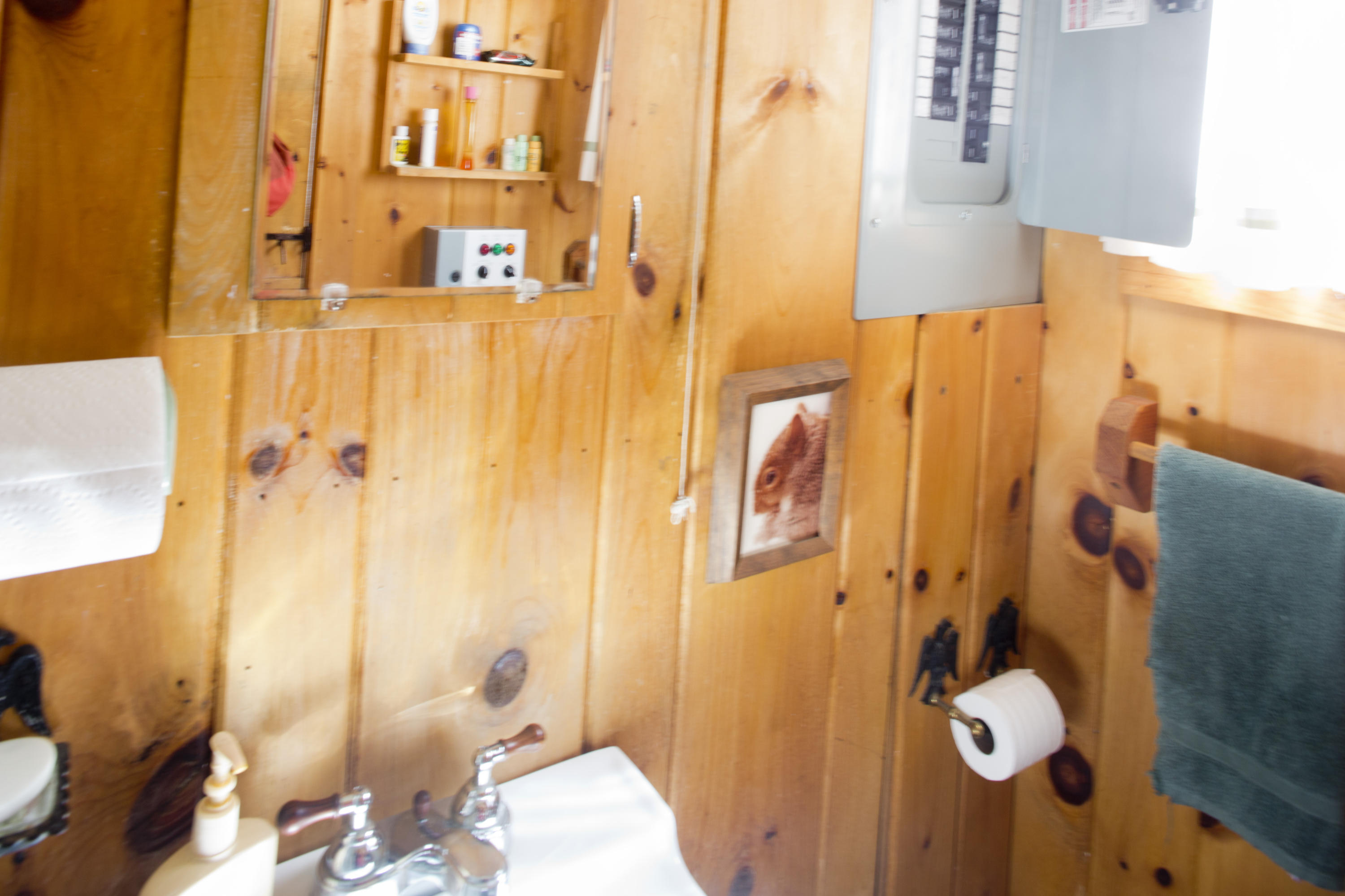 161 Beaver Circle Dedham, ME 04429 - Photo 14 of 18 Taylor524A7184