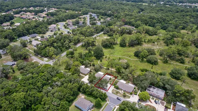 a view of a garden with plants
