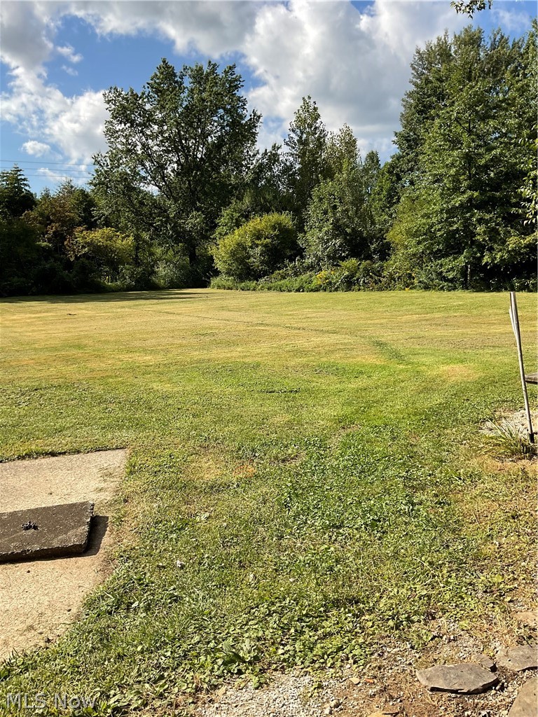 5160 Lane Road Painesville, OH 44077 - Photo 13 of 20 Back yard with 4.25 wooded Commercial acres