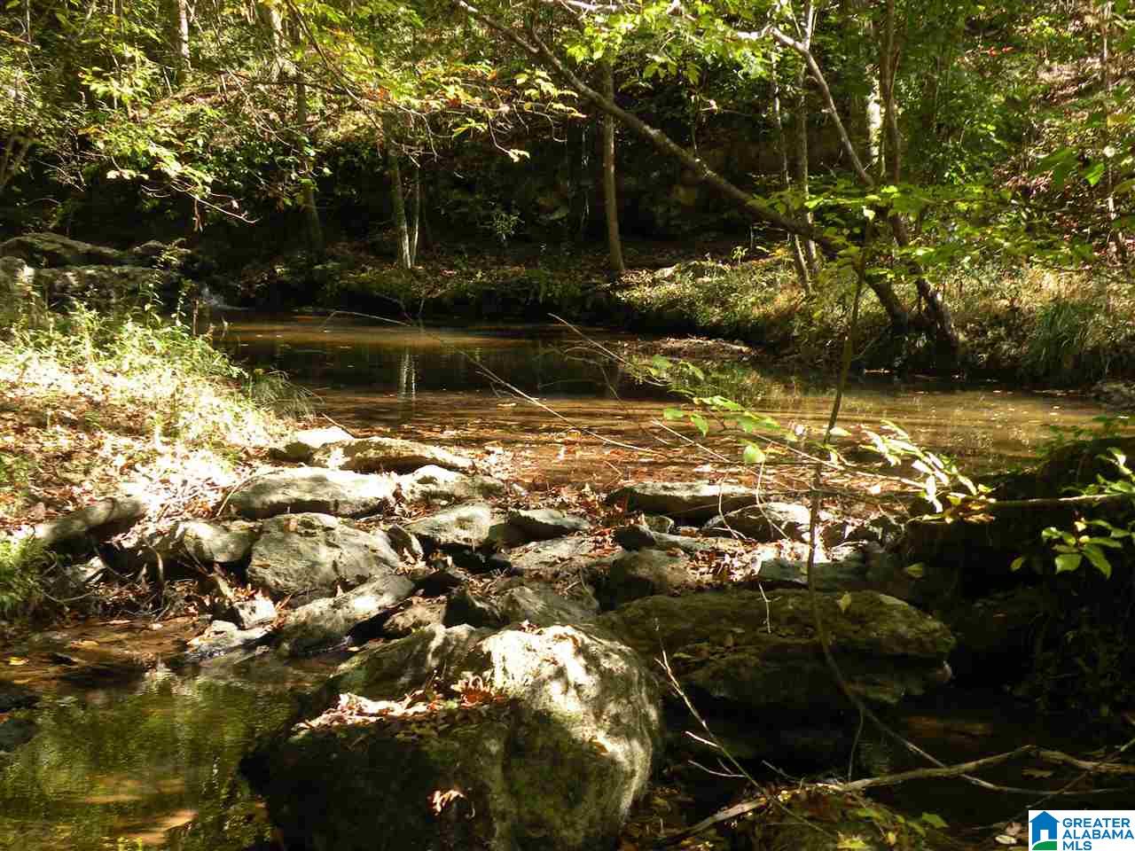 163 Thurman Road Talladega, AL 35160 - Photo 4 of 22
