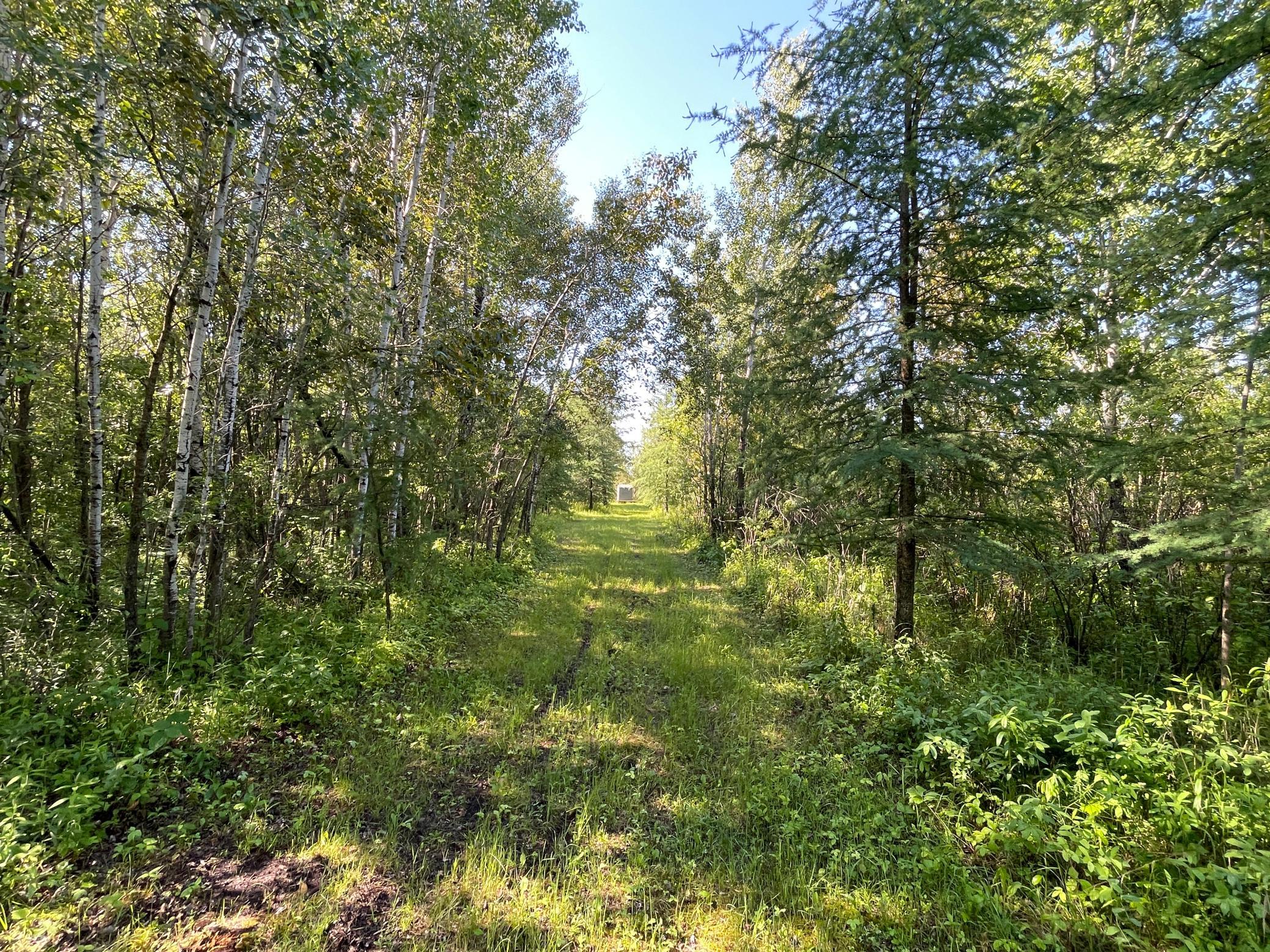 Tbd 440th Avenue Roseau, MN 56751 - Photo 43 of 80