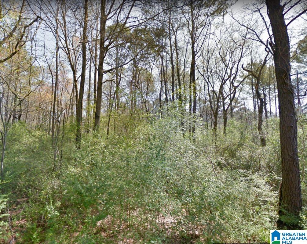 Akins Miller Road Jasper, AL 35501 - Photo 9 of 13