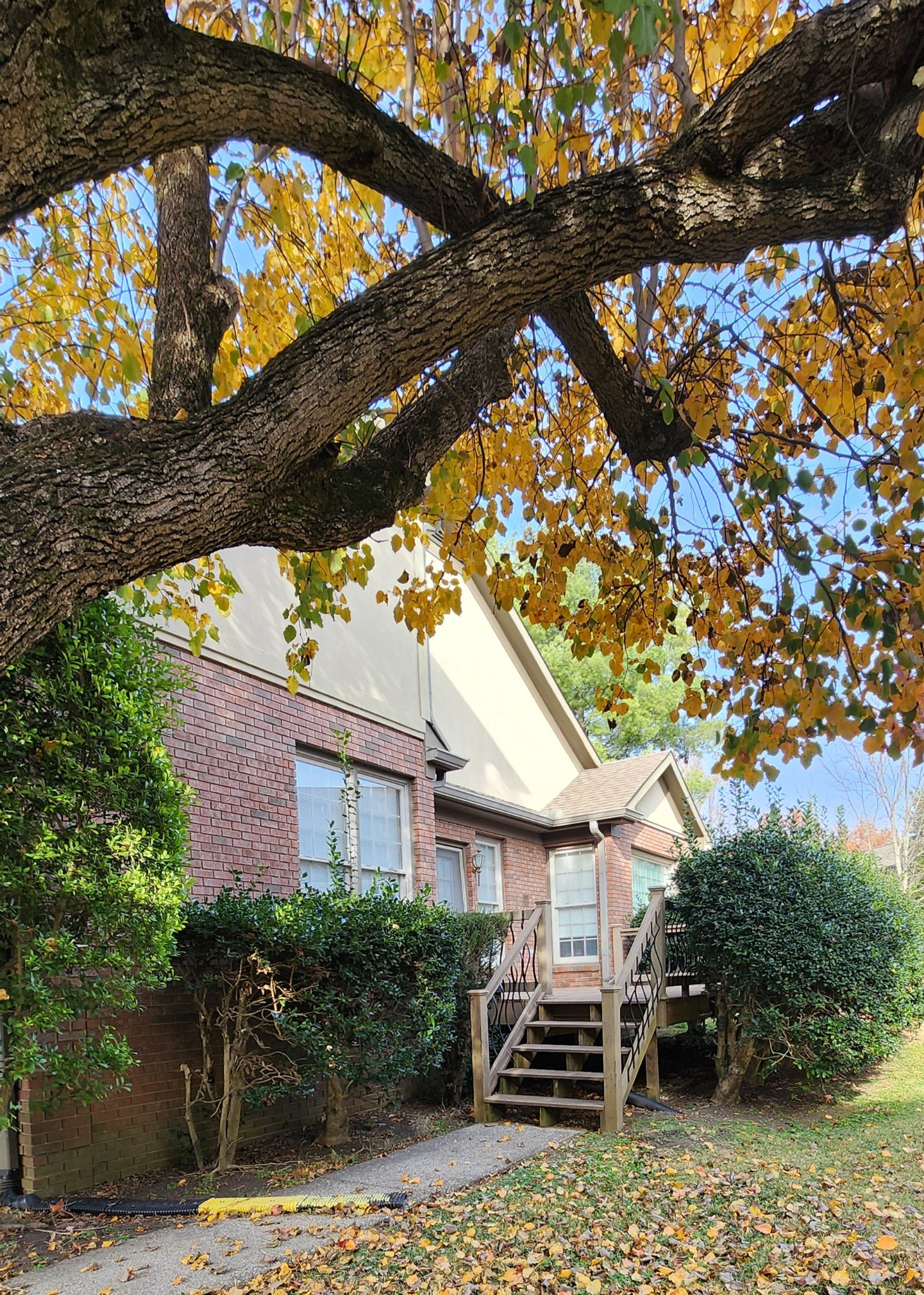 1128 Fairways Lebanon, TN 37087 - Photo 43 of 48 a front view of a house with garden