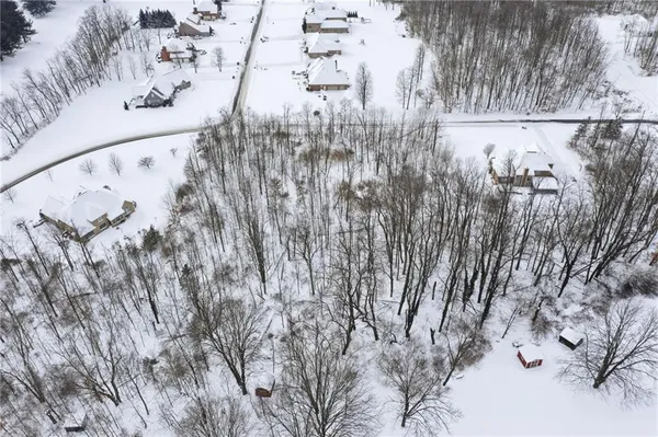 a view of a dry yard with trees in front of it