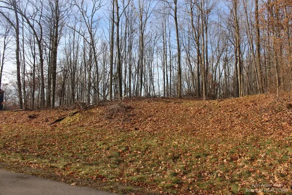$49,900 | 0 Lindsey Road, Unit 13, Jackson, MI 49201