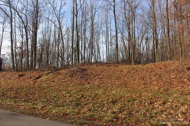 $49,900 | 0 Lindsey Road, Unit 13, Jackson, MI 49201