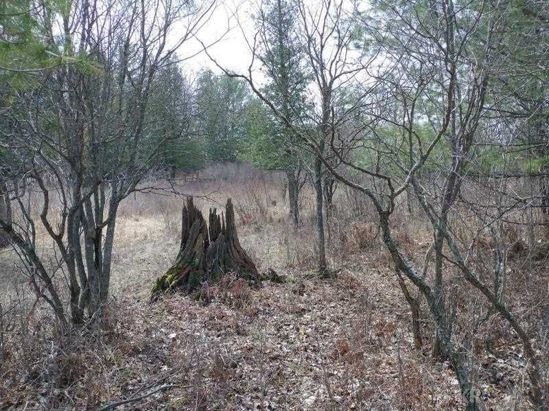50-acres Sugar River Road Gladwin, MI 48624 - Photo 13 of 29