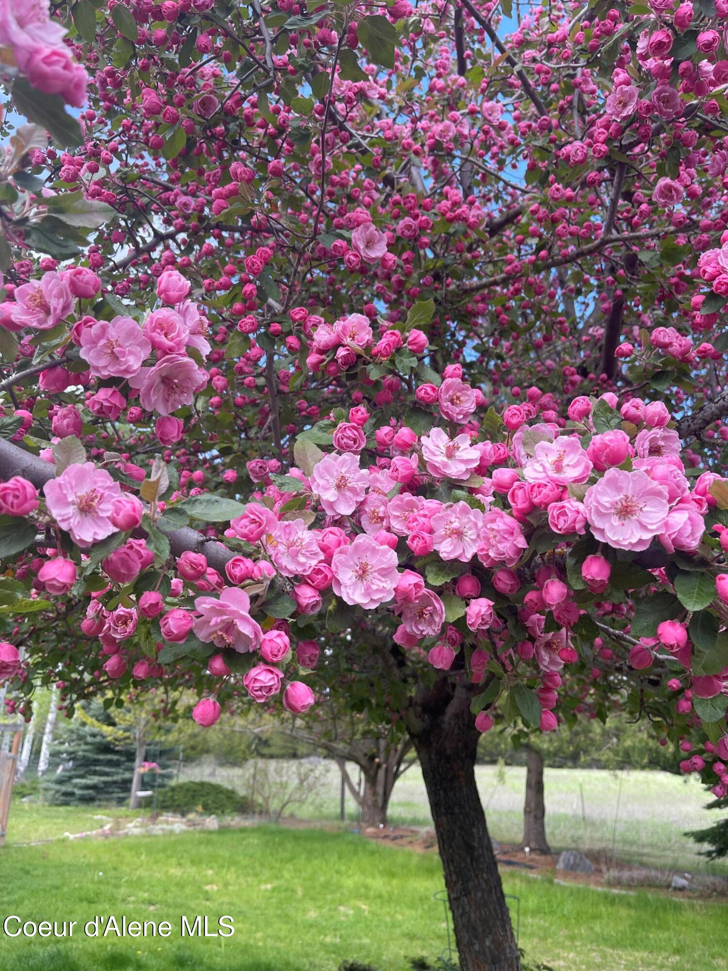 391 Blue Sky Road Bonners Ferry, ID 83805 - Photo 5 of 78 306