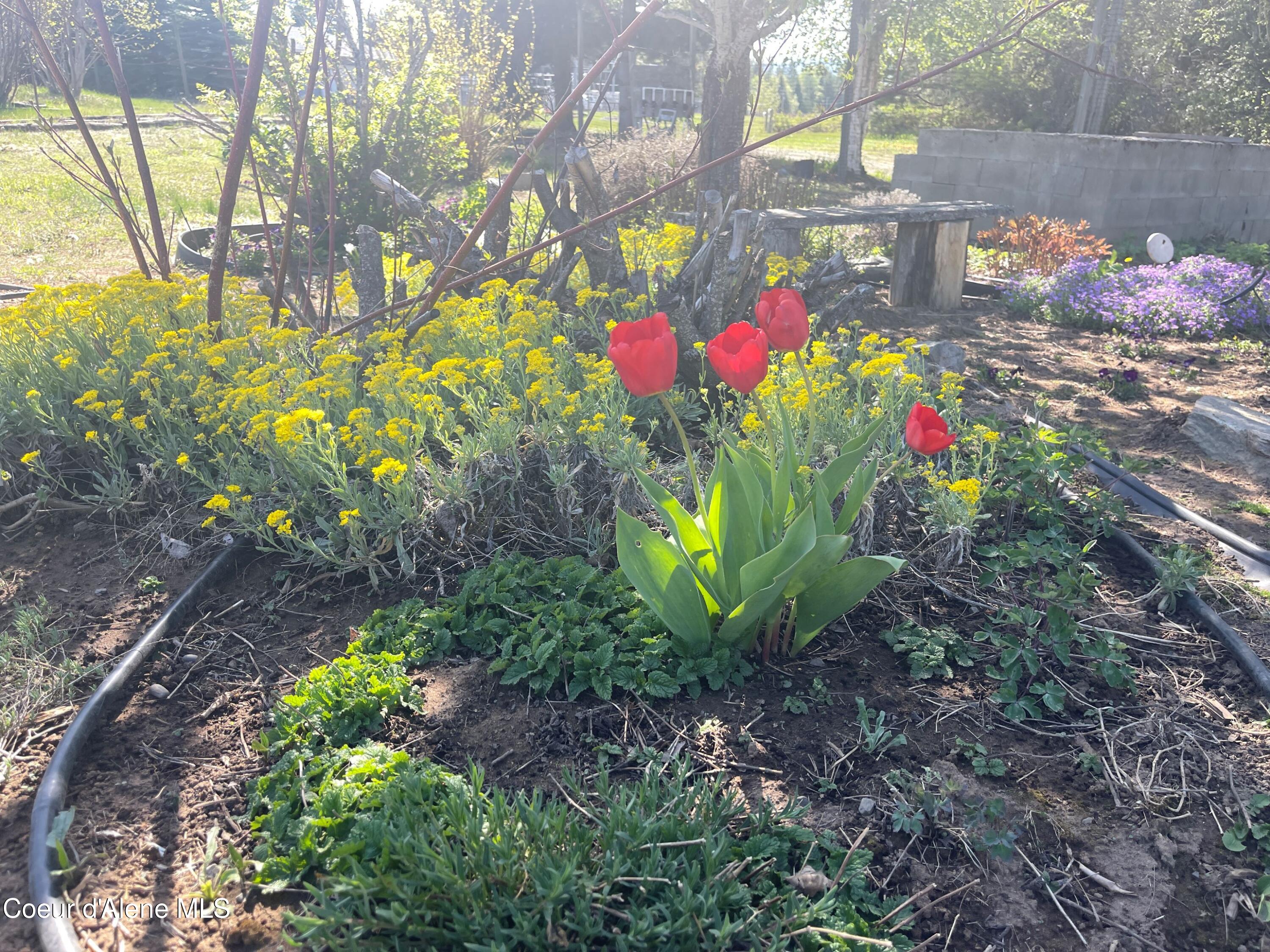 391 Blue Sky Road Bonners Ferry, ID 83805 - Photo 75 of 78 1g