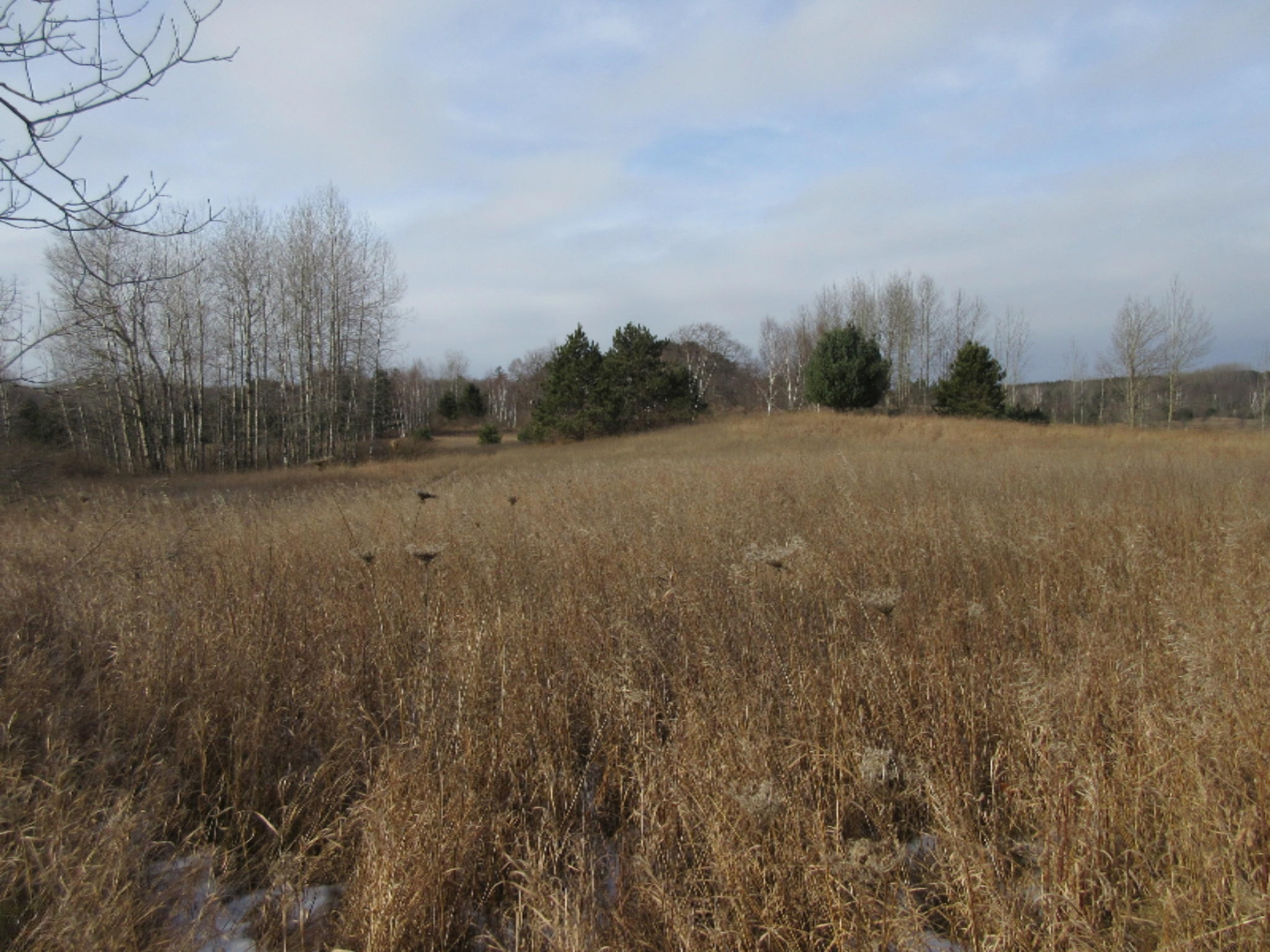 5437 Goodar Road South Branch, MI 48761 - Photo 21 of 32 IMG_9783