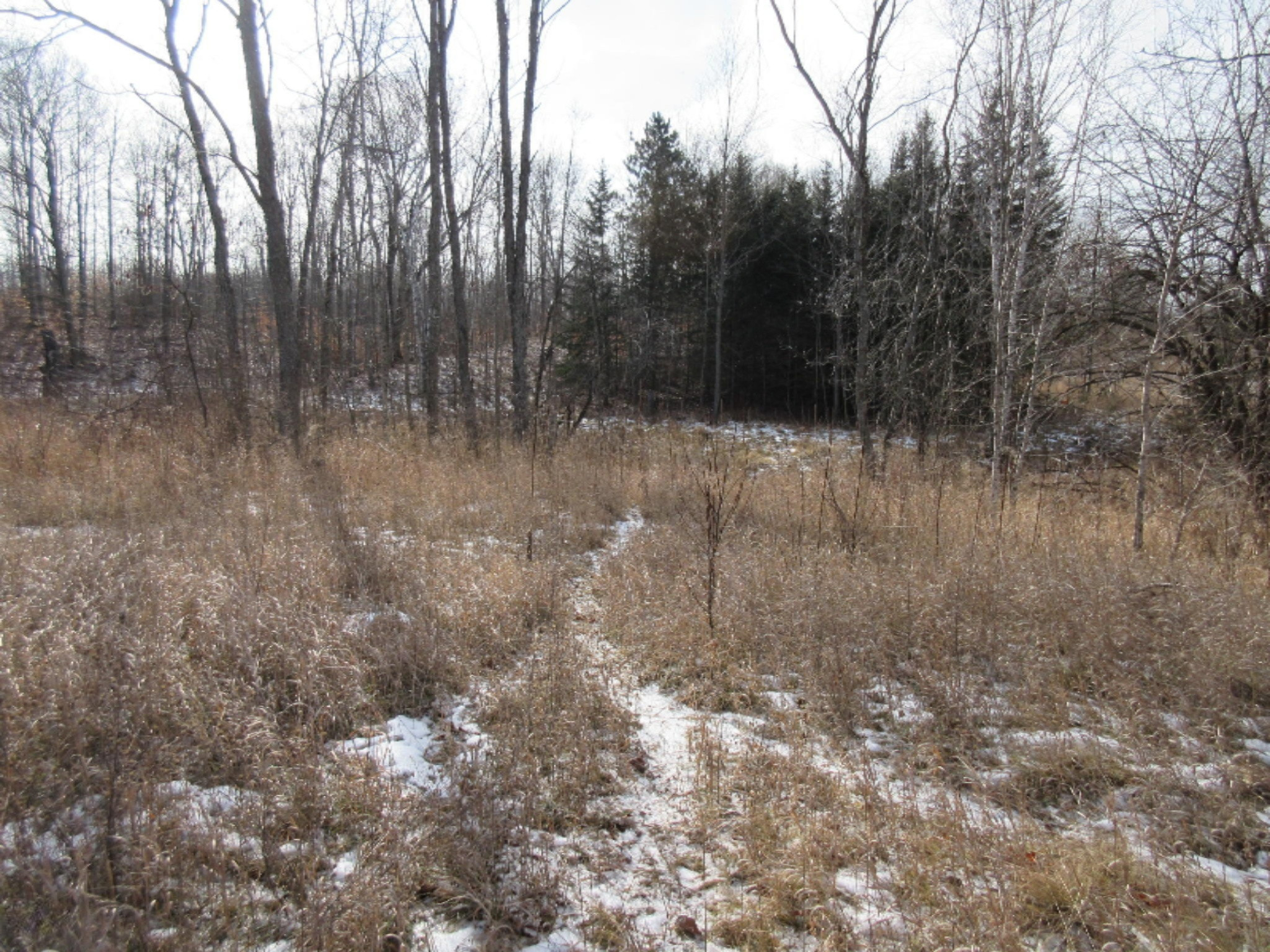 5437 Goodar Road South Branch, MI 48761 - Photo 23 of 32 IMG_9790