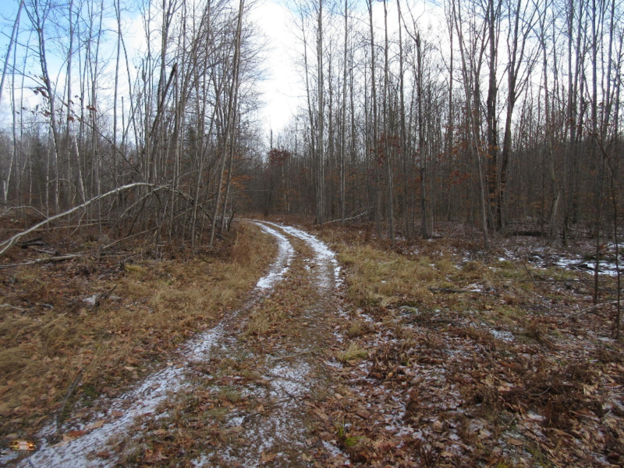 5437 Goodar Road South Branch, MI 48761 - Photo 26 of 32 IMG_9809