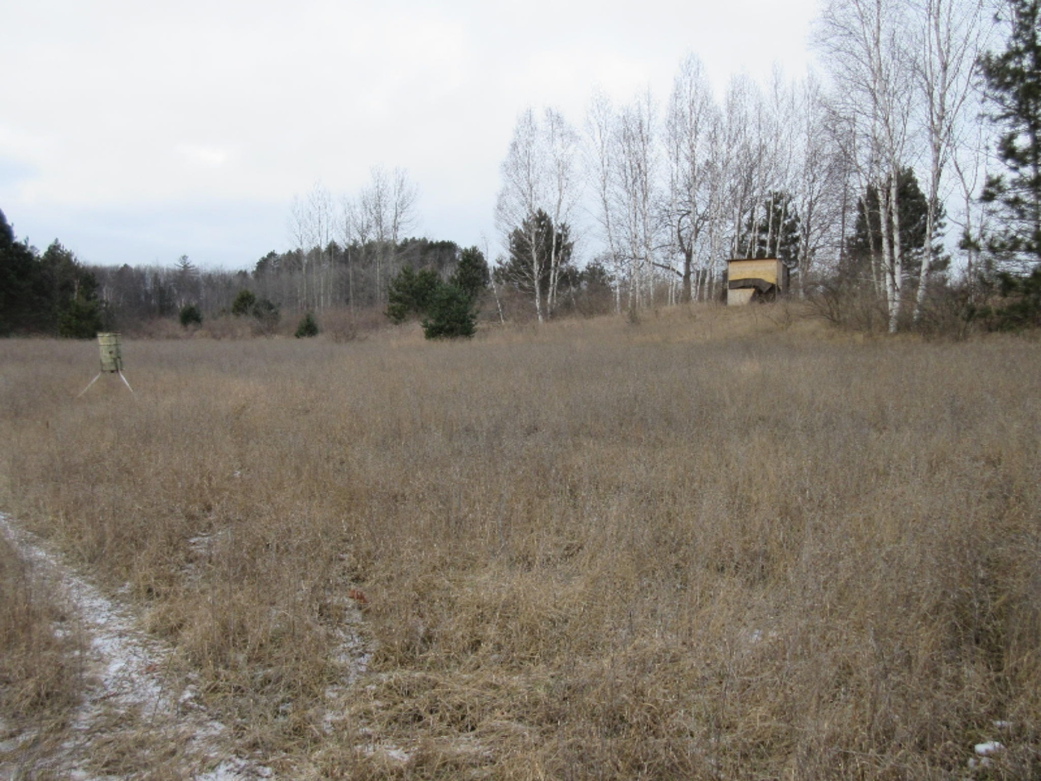 5437 Goodar Road South Branch, MI 48761 - Photo 29 of 32 IMG_9823