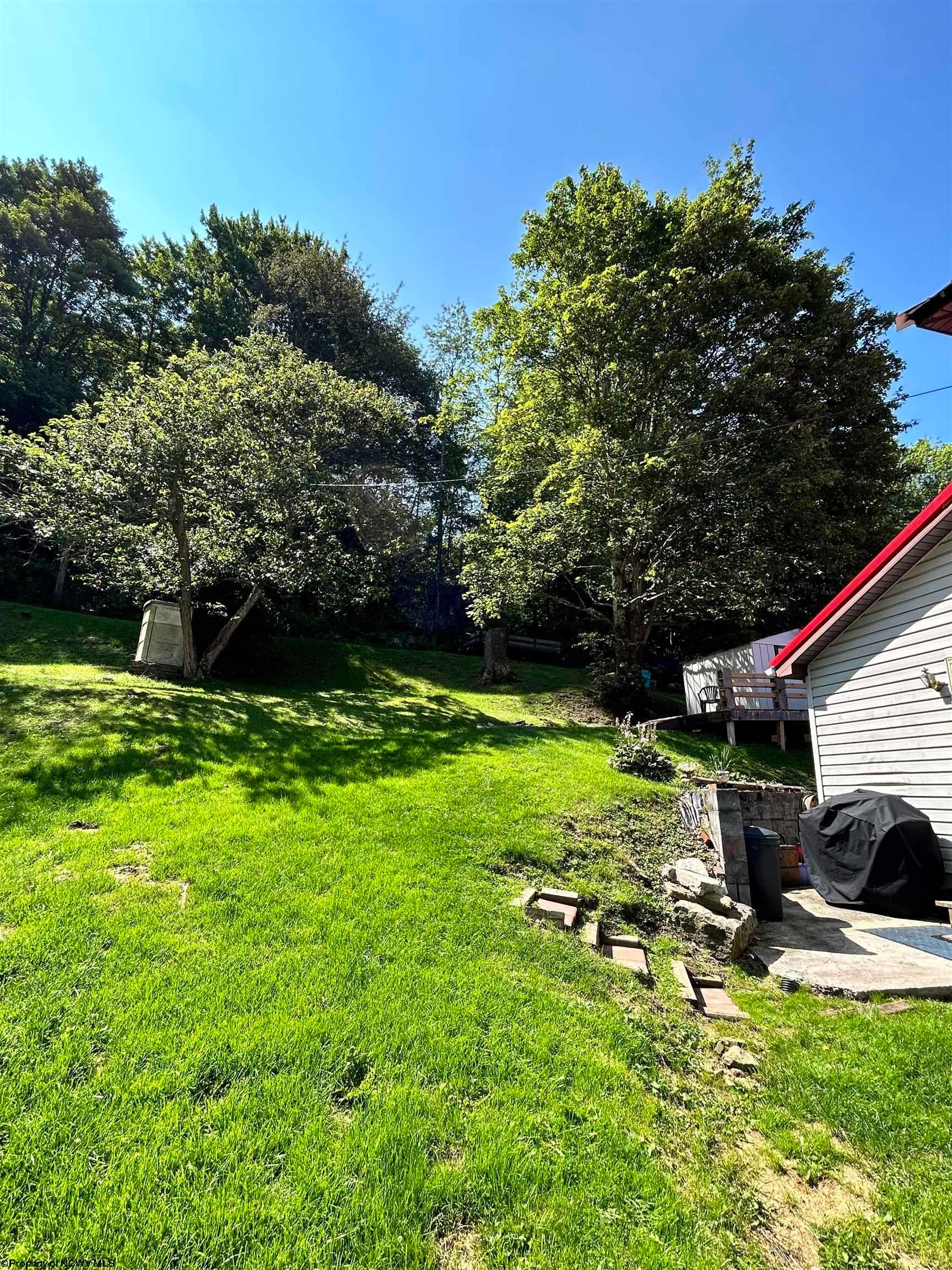 465 Douglas Road Thomas, WV 26292 - Photo 22 of 24 Gallery Image 22