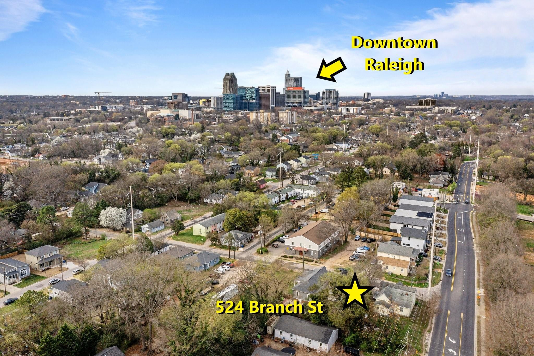 524 Branch Street Raleigh, NC 27601 - Photo 1 of 28 Photo 1