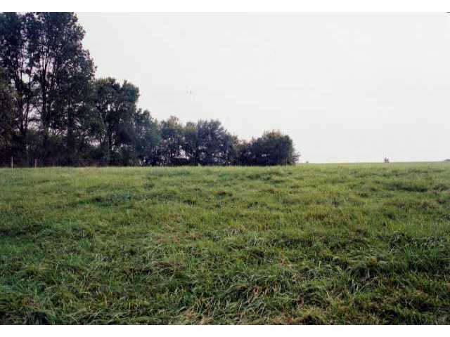 0 Opossum Run Road, Unit TRACT 4 London, OH 43140 - Photo 1 of 1 Gallery Image 1