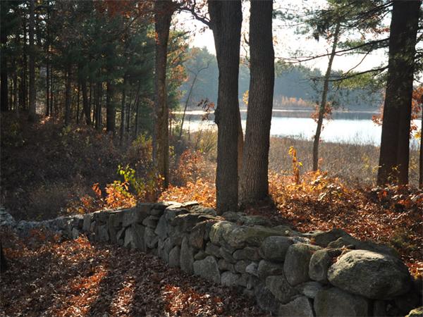 71 Weston Road Lincoln, MA 01773 - Photo 4 of 30 Gallery Image 4