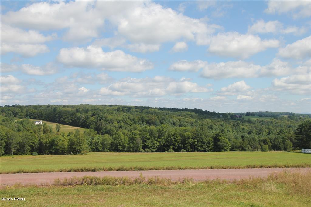 Skinner Road Honesdale, PA 18431 - Photo 9 of 10