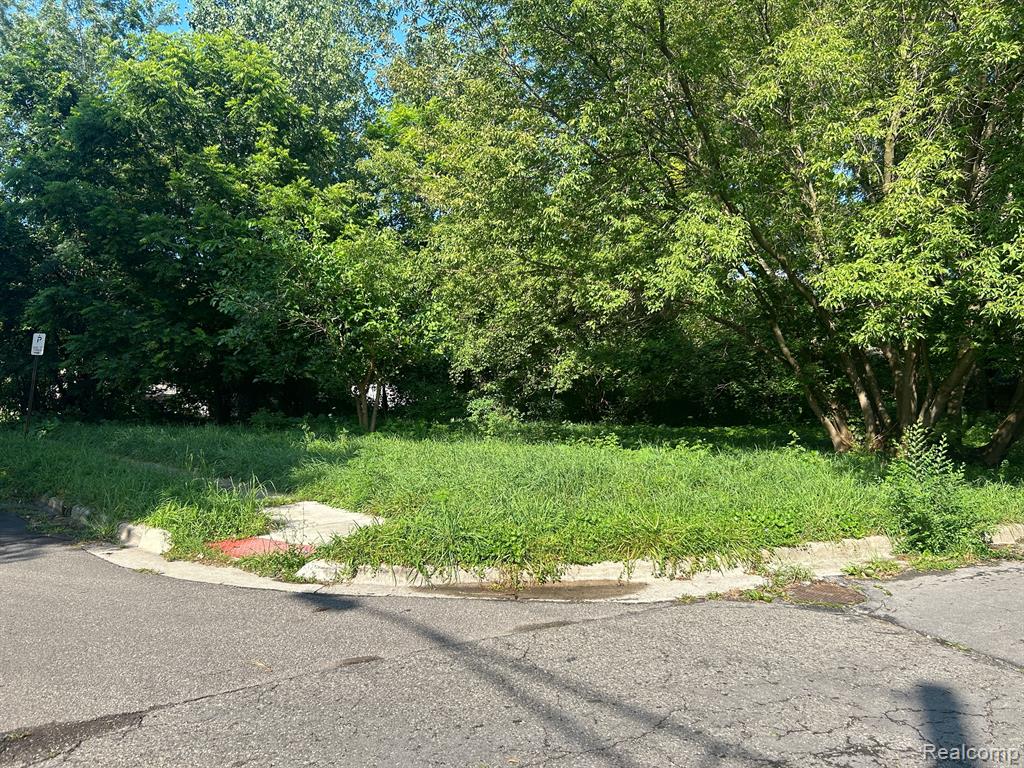 0 South Merrimac Street Pontiac, MI 48340 - Photo 11 of 14
