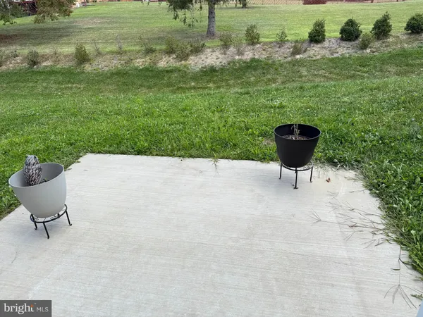 a swimming pool with some tall trees
