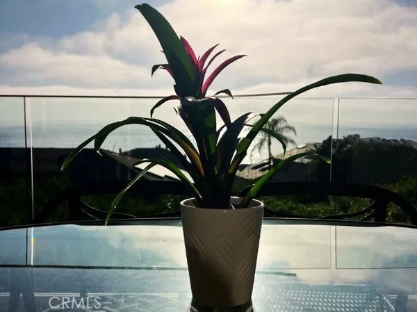 $10,000 | 34 Blue Lagoon, Laguna Beach, CA 92651